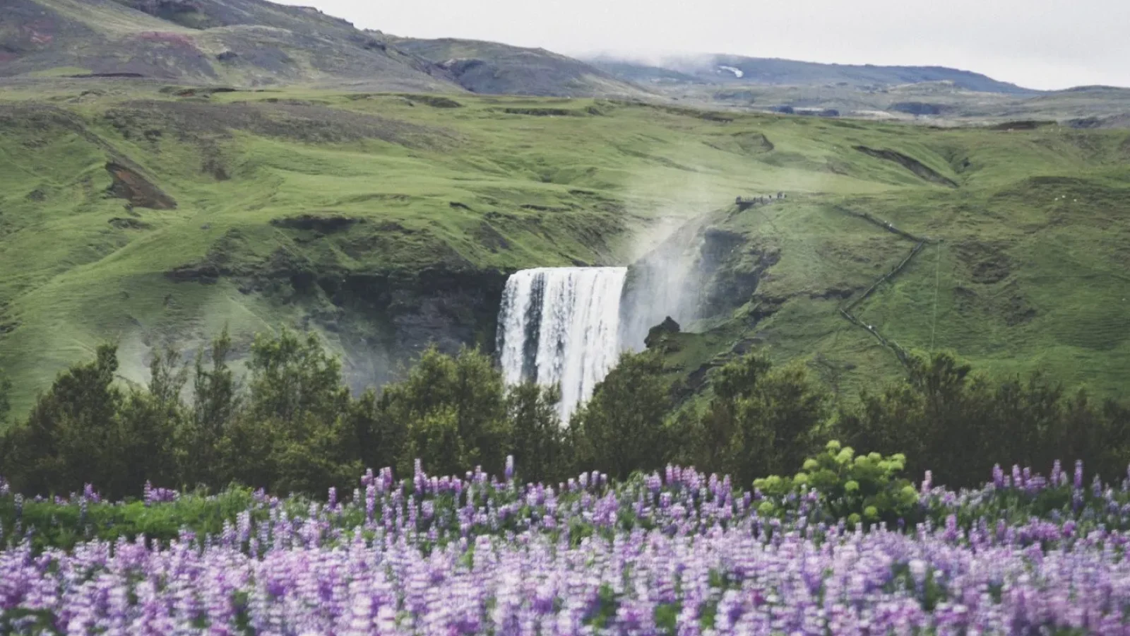 Norbert_Iceland-045-e1515931800393