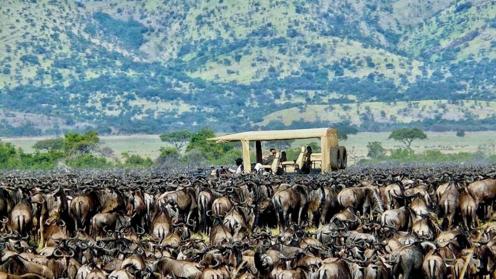 PHOTO-MIGRATION-ET-SAFARI-CAR-LABA-LABA