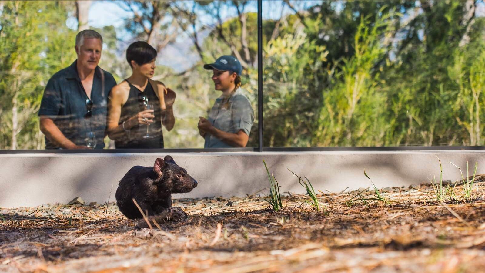 luxerondreis-australie-13